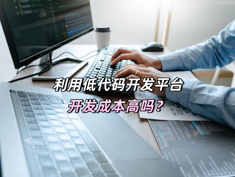 利用低代碼開發平臺開發成本高嗎？成本的“雙刃劍”與價值新范式